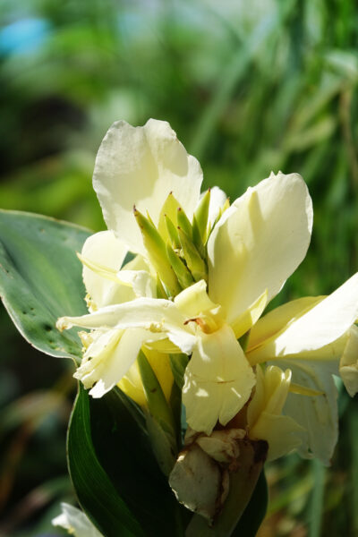 CollectifEscargo_Quais_Masson_2022_08