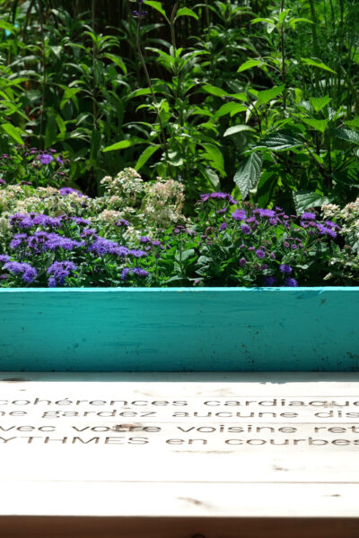 CollectifEscargo_Quais_Masson_2022_Chantier_01