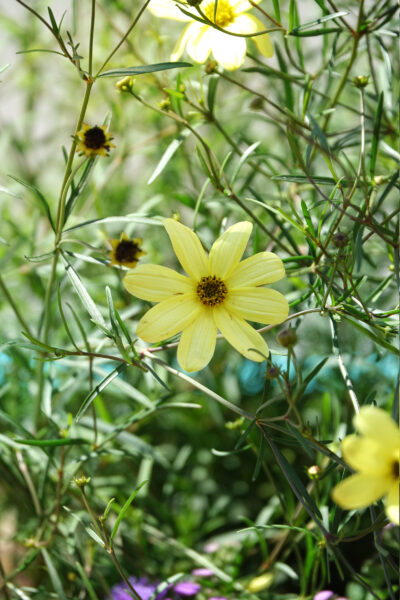 CollectifEscargo_Quais_Masson_2022_Chantier_04