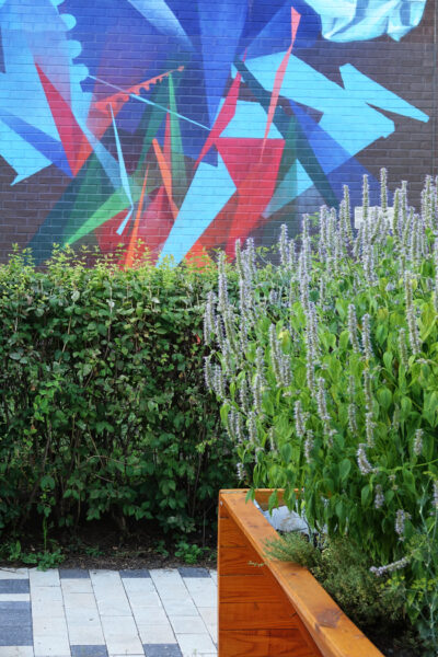 Collectif_Escargo_Parvis_Biencourt_15