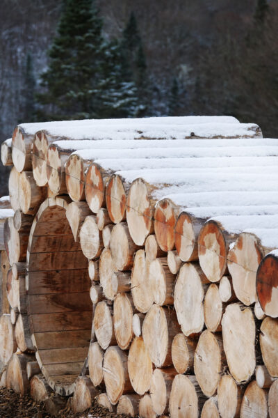 Collectif_Escargo_Sepaq_Sentier_Curieux_15