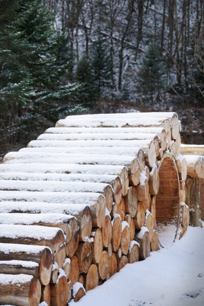 Collectif_Escargo_Sepaq_Sentier_Curieux_20